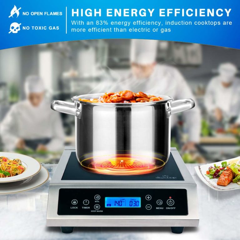 Duxtop Professional Portable Induction Cooktop, Commercial Range